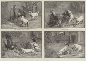 Fuss and Feathers by John Gilbert